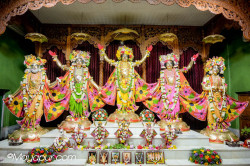 Daily Darshan