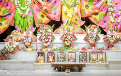 Daily Darshan