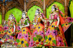 Daily Darshan