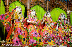 Daily Darshan