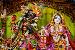 Daily Darshan