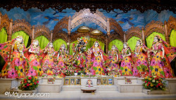 Daily Darshan
