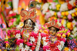 Daily Darshan