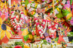 Daily Darshan