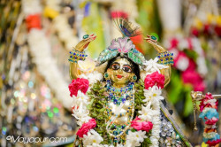 Daily Darshan