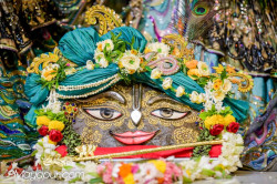 Daily Darshan