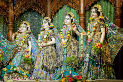 Daily Darshan