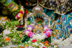 Daily Darshan