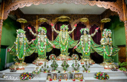 Daily Darshan