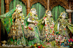 Daily Darshan