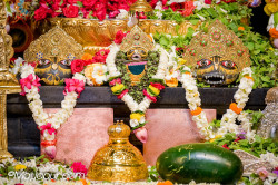 Daily Darshan