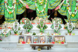 Daily Darshan