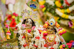 Daily Darshan