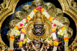 Daily Darshan