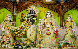 Daily Darshan