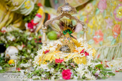 Daily Darshan