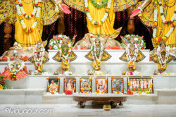 Daily Darshan