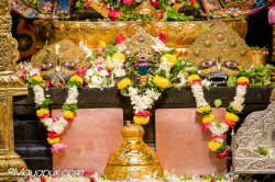 Daily Darshan