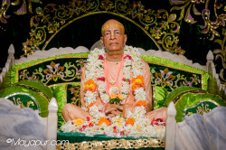 Daily Darshan