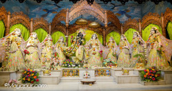 Daily Darshan