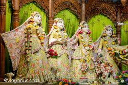 Daily Darshan