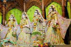 Daily Darshan