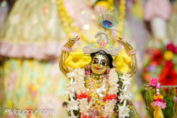 Daily Darshan