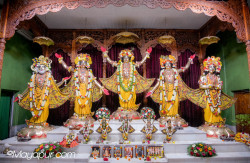 Daily Darshan