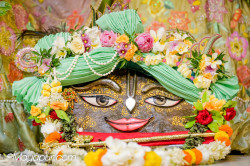 Daily Darshan
