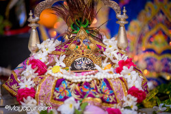 Daily Darshan
