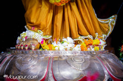 Daily Darshan