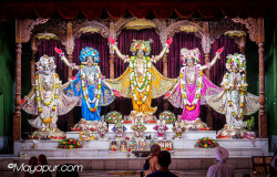 Daily Darshan