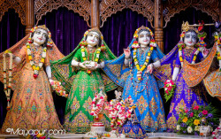 Daily Darshan