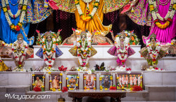 Daily Darshan