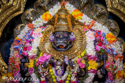 Daily Darshan