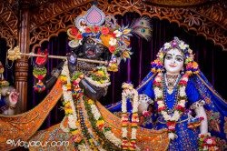 Daily Darshan