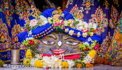 Daily Darshan