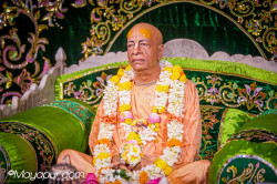 Daily Darshan