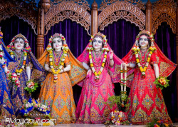Daily Darshan