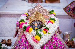 Daily Darshan