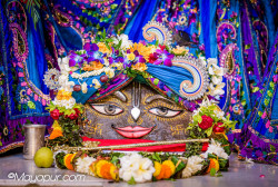 Daily Darshan