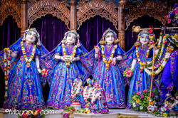 Daily Darshan