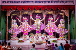 Daily Darshan