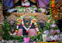 Daily Darshan