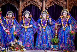 Daily Darshan