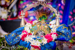 Daily Darshan