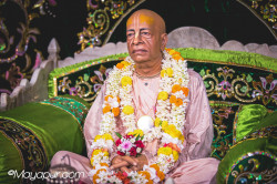 Daily Darshan