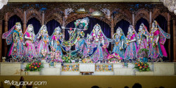 Daily Darshan
