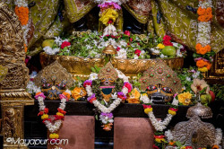 Daily Darshan