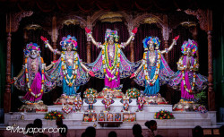 Daily Darshan
